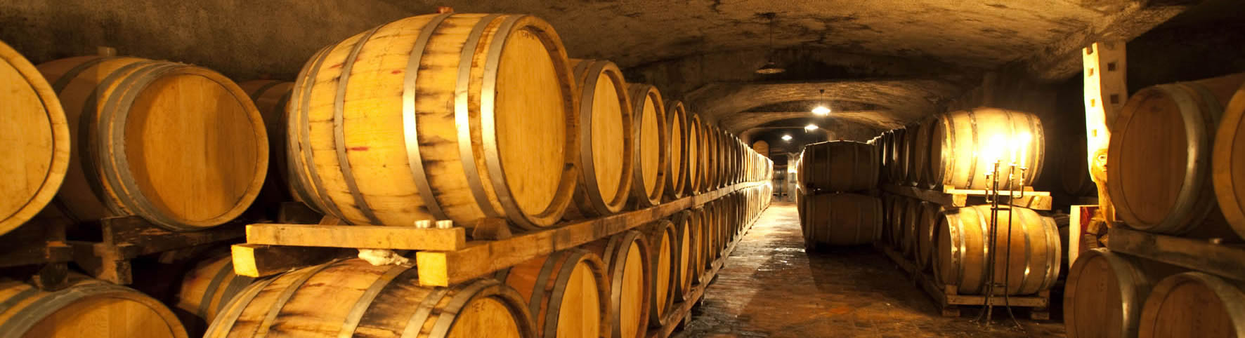 Naslovna fotografija