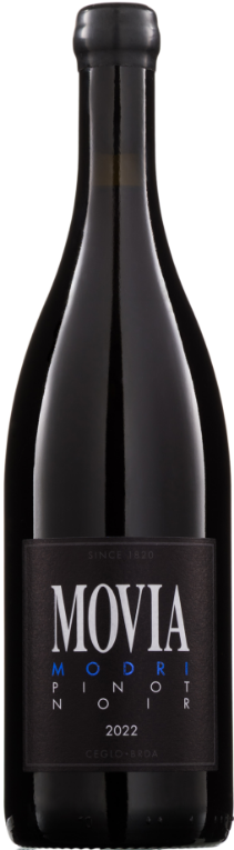 Modri Pinot 2022