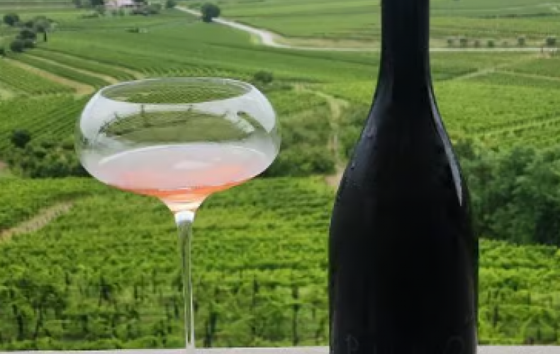 North Adriatic Wine & Travel Guide: Exploring Italy, Slovenia & Croatia