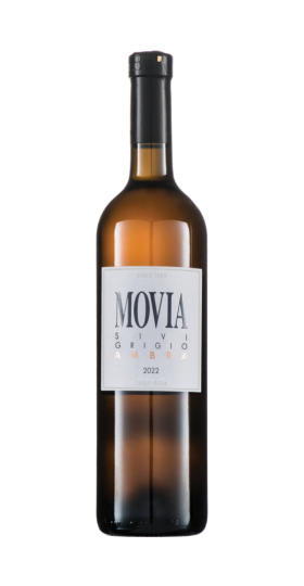 Pinot Grigio Ambra VV 2023